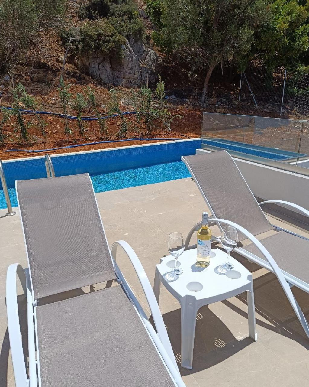 Isabel Artemis Crete - Luxury Sea Views Villas Nopigia Eksteriør bilde